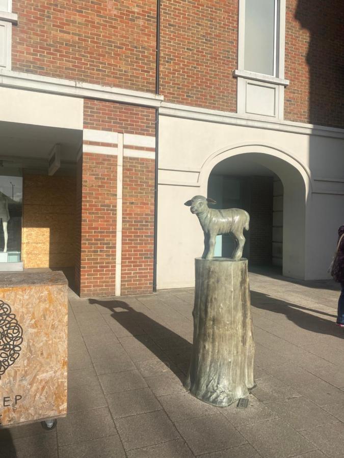 The Most Central Apartment In Canterbury Stunning Interiors, Fully Equipped, City Views And Free Wifi! Luaran gambar
